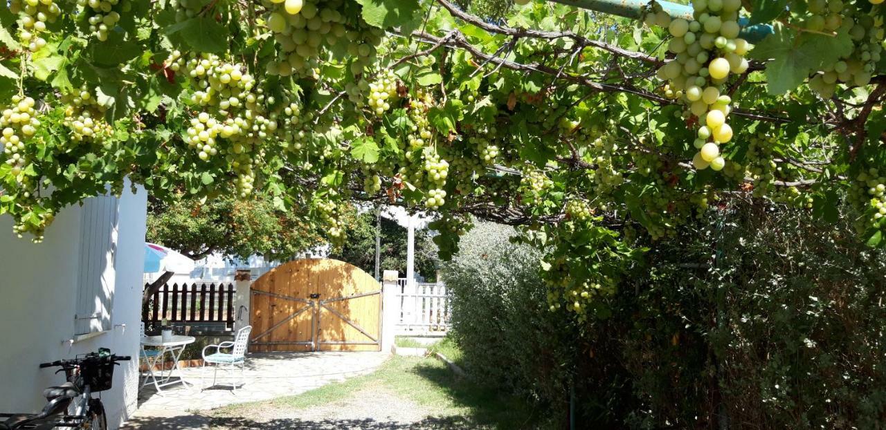 Le Flamant Rose Bed & Breakfast Salin-de-Giraud Luaran gambar